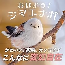 シマエナガ様 楽天市場】お得なクーポン 送料無料 シマエナガちゃん