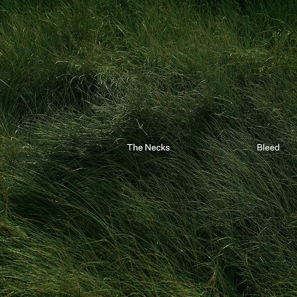 Amazon | Travel [Analog] | The Necks | ジャズ | ミュージック