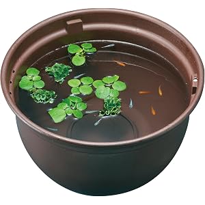 ジェックス メダカ元気 メダカのための飼育鉢 茶370