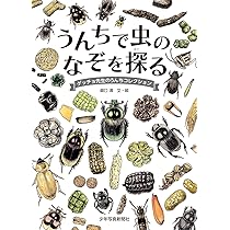 814JIYDEYFL._AC_UL210_SR210,