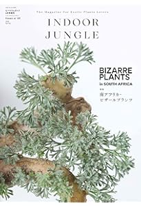 INDOOR JUNGLE （インドアジャングル）08 ジャパニーズビザール