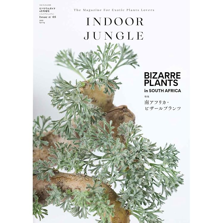 INDOOR JUNGLE 雑誌セットNo,1〜5+雑誌2冊 INDOOR JUNGLE Issue.02 ※売り切れ ｜ エムピージェー