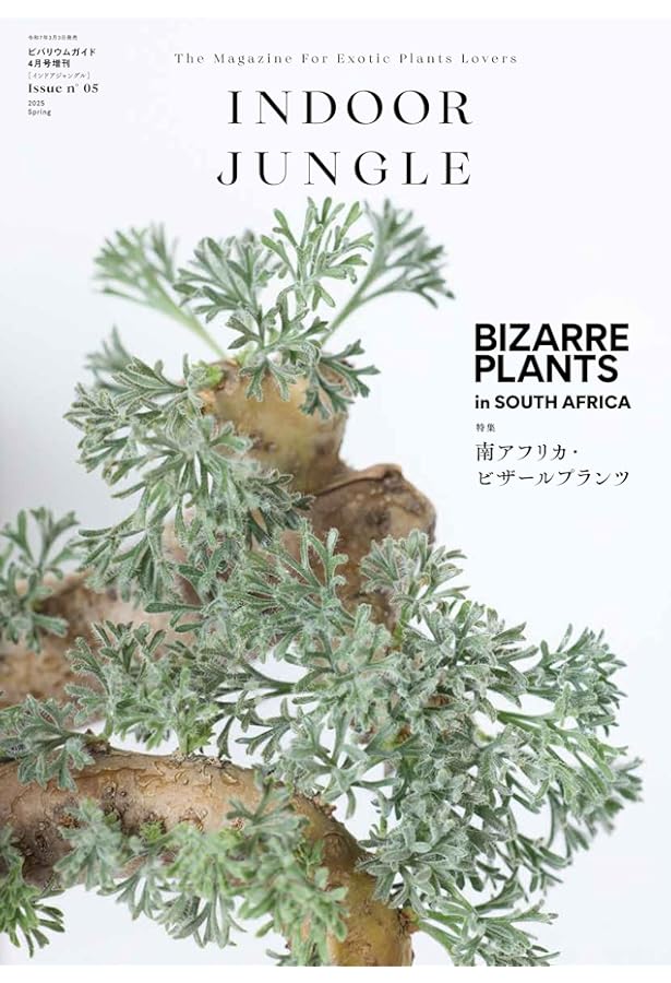 INDOOR JUNGLE（インドアジャングル） No.02 ビカクシダ現象 | INDOOR