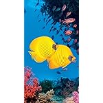海の生き物 iPhoneSE/5s/5c/5 壁紙 視差効果 The Ocean Unseen 2021 Calendar 海の生き物 iPhoneSE/5s/5c/5 壁紙 視差効果 The Ocean Unseen 2021 Calendar