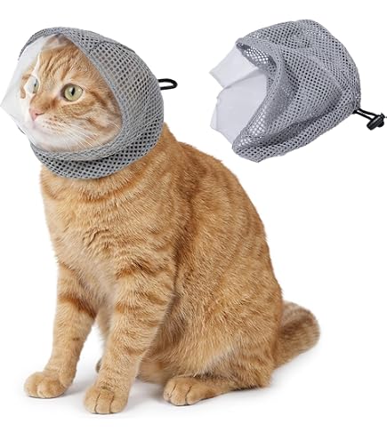 Amazon.co.jp: なめ猫 レトロ なめんなよ猫 下敷き 紫 ！ : ペット用品