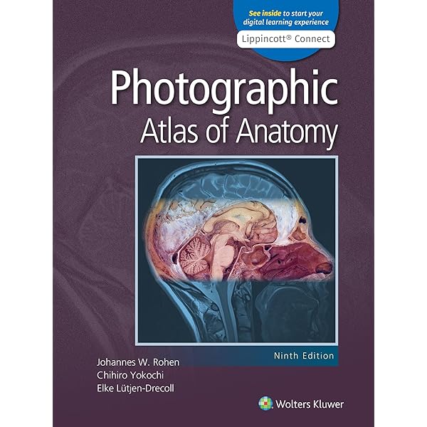 Color Atlas of Anatomy: A Photographic Study of the Human Body