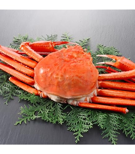 Amazon.co.jp: ズワイガニ 姿 ズワイガニ 1kg ボイル ズワイガニ 2尾
