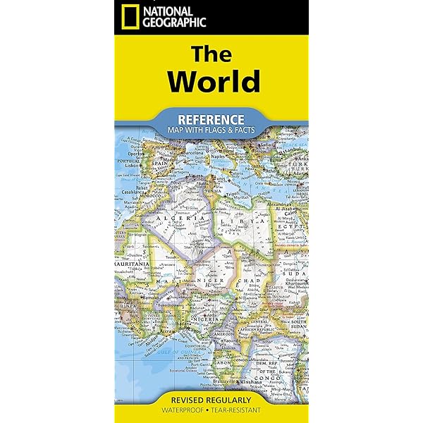 Amazon | World Classic Poster Size Map: Wall Maps World (National