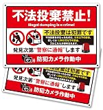 防犯カメラ作動中 プレート ブリキ看板 G 横型 20cm×30cm 2枚 防犯グッズ 盗難対策 監視カメラ ダミー 玄関 屋外 ベランダ NYANDELMO ND-0236-R06-G-2