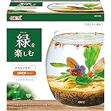 Amazon Gex Aquarium グラスアクア ティアー N アクアリウム 小型水槽 水草 テラリウム Gex Aquarium 水槽 通販