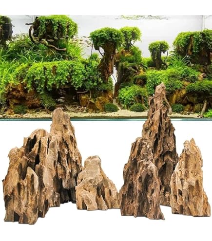 Amazon | 気孔石 黄虎石 蜂炎石 水槽 アクアリウム 花壇 ガーデニング