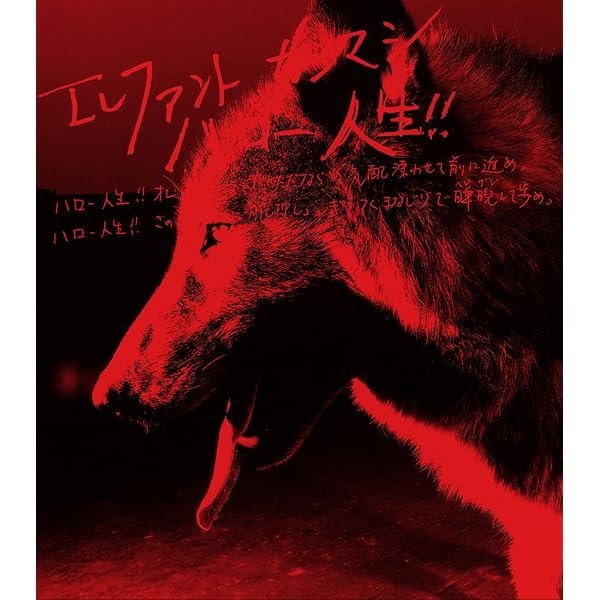 Amazon.co.jp: 化ケモノ青年 (CCCD): ミュージック