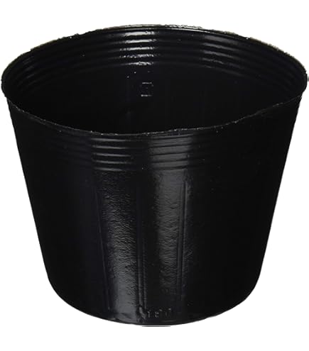 Amazon.co.jp: ポリポット 15cm 黒 100個 ビニールポット : DIY・工具