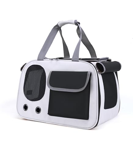 M-Pets Sixties Clock Pet Carrier, Blue : Amazon.com.au: Pet Supplies