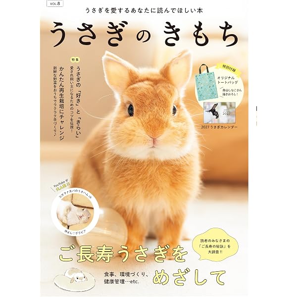 Amazon.co.jp: うさぎと暮らす No100（2026年Summer） : うさぎと
