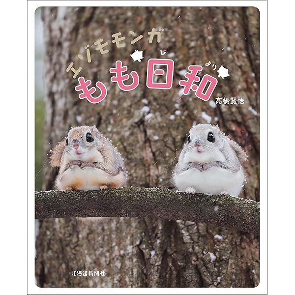 エゾモモンガちゃんの日々 - ぼくたちの森と空 - (ワニ・プラス