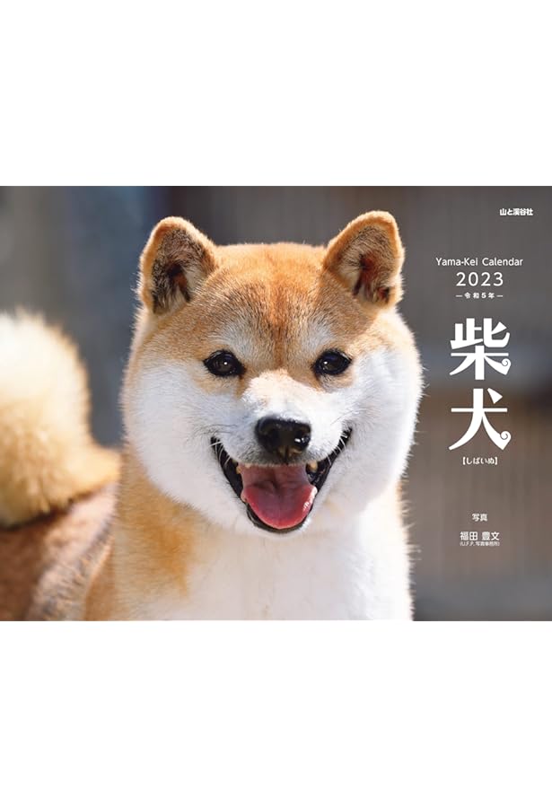 カレンダー21 柴犬 月めくり 壁掛け ヤマケイカレンダー21 福田 豊文 本 通販 Amazon