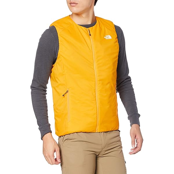 Amazon | THE NORTH FACE ノースフェイス ベントリックスベストNY82204