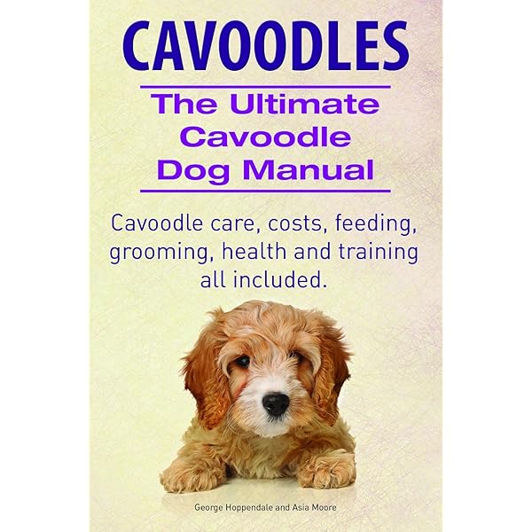 Cavapoo Training Guide How To Quickly Properly Train Your Cavapoo Puppy