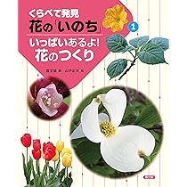 【⭐︎大幅お値下げ⭐︎】花よりも花の如く1〜13＆NATURAL 11 いっぱいあるよ!花のつくり (1) (くらべて発見花の「いのち」 1