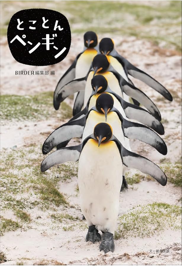 世界のペンギン 18種類の野生ペンギンと出会う旅 | アーシュラ・クレア