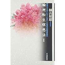 輪廻転生瞑想法 1: 理想の自分に生まれ変わる如意宝珠敬愛秘法 | 桐山