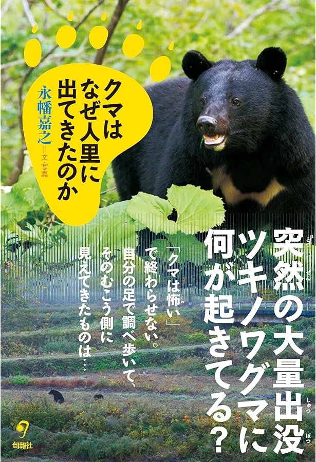 ツキノワグマ: すぐそこにいる野生動物 | 山﨑 晃司 |本 | 通販 | Amazon