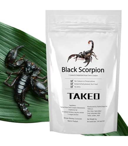 Amazon.co.jp: [昆虫食] タランチュラ Zebra Tarantula 8g TIU0021