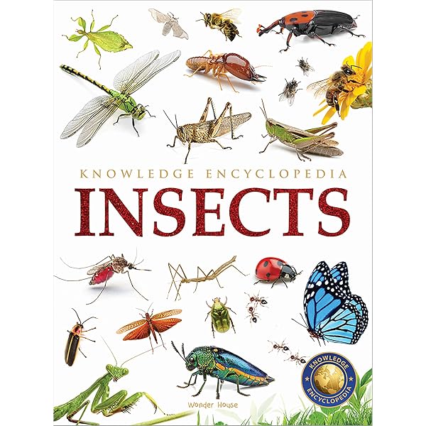 Amazon | Animals - Insects : Knowledge Encyclopedia For Children