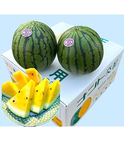 Amazon.co.jp: 黄色すいか 金色羅皇(こんじきらおう) 2L/Lサイズ規格