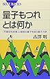 量子もつれとは何か―「不確定性原理」と複数の量子を扱う量子力学 (ブルーバックス)