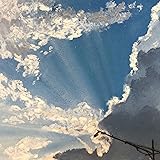 天才の愛(完全限定生産盤A:CD+Blu-ray)