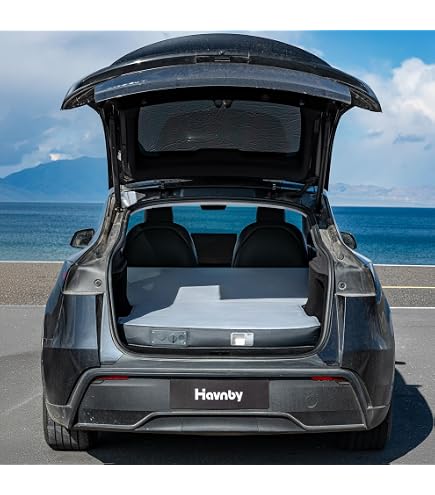 Amazon | Havnby (ハブンビー) 2025 Tesla モデル Y ジュニパー