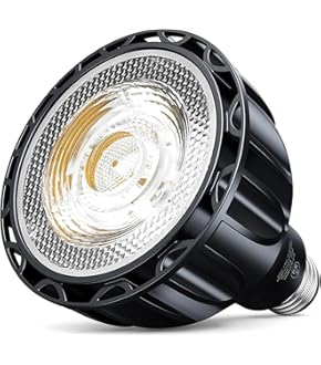 夏休み特別企画！アガベ希少品種18株セット☆５セット限定、残り２セット 夏休み特別企画！アガベ希少品種18種セット☆5セット限定・残り