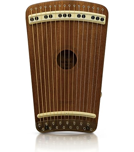 Amazon | Grace Harp ベイビー ハープ 令 12弦 ナイロン弦 軽量 小型