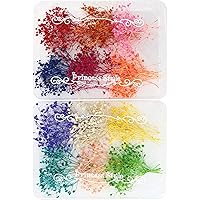 Amazon | Princess-style かすみ草 ドライフラワー 花頭 咲いた花