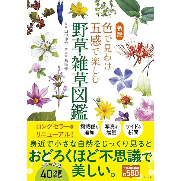 新版 形とくらしの雑草図鑑: 見分ける、身近な300種 (野外観察