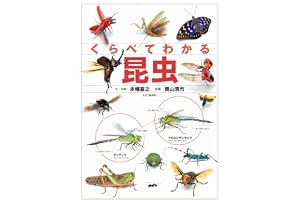 くらべてわかる昆虫