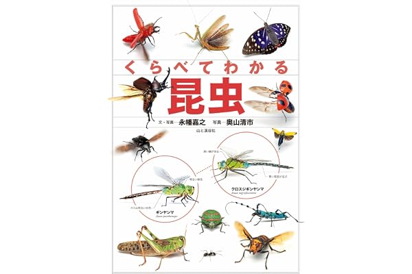 くらべてわかる昆虫