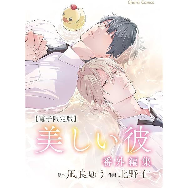 Amazon.co.jp: TVドラマ＆劇場版「美しい彼」公式ビジュアルブック