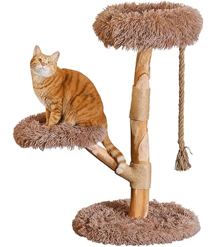 Amazon | ハリーバーカー Harry Barker【天然コーヒー木使用】キャット