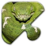 Jigsaw Puzzles Free Game - Chapter 11