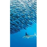 海の生き物 iPhoneSE/5s/5c/5(640×1136)壁紙 2022 the Ocean Unseen Wall Calendar 海の生き物 iPhoneSE/5s/5c/5(640×1136)壁紙 2022 the Ocean Unseen Wall Calendar