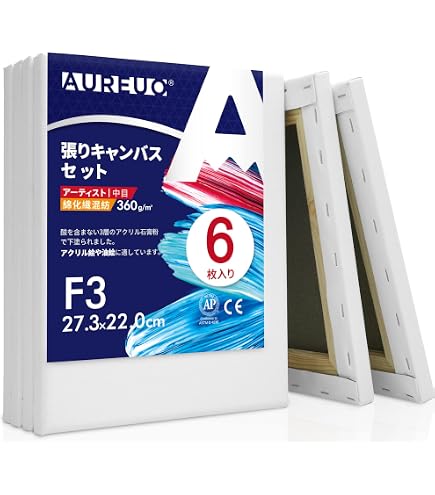 再利用キャンバスセット 8枚 Amazon.co.jp: AUREUO 張りキャンバス セット FSM (22.7cmX15.8cm) 中