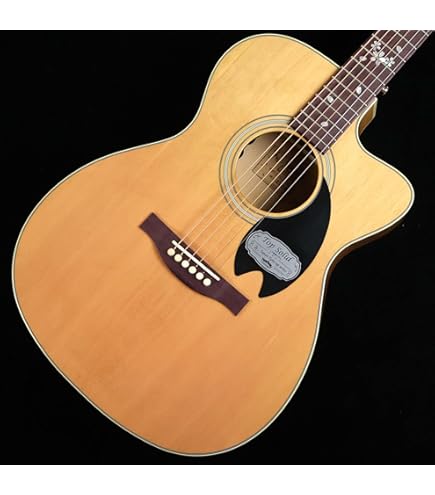 Amazon.co.jp: Headway HD-25 TNS アコースティックギター ヘッド