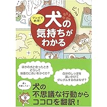 815yFb7NIeL._AC_UL210_SR210,