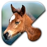 Jigsaw Puzzles Free Game - Chapter 23