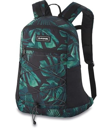 Amazon.co.jp: DAKINE(ダカイン) スノーボードバッグ ケース ロー