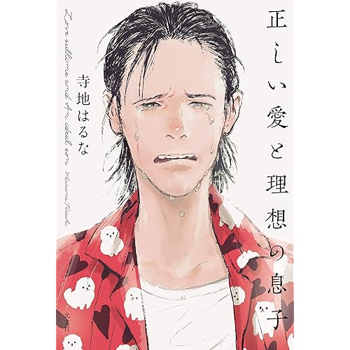 正しい愛と理想の息子