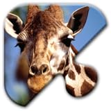 Jigsaw Puzzles Free Game - Chapter 1